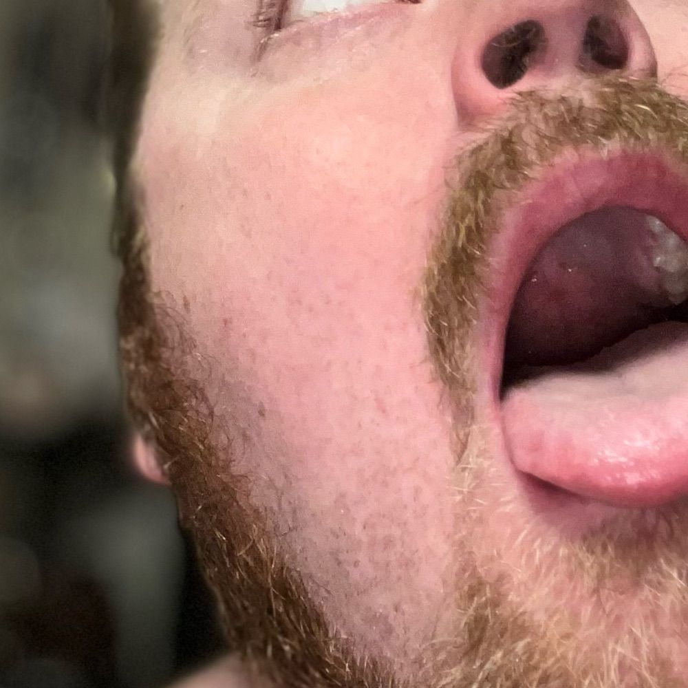FeeFiFoFag