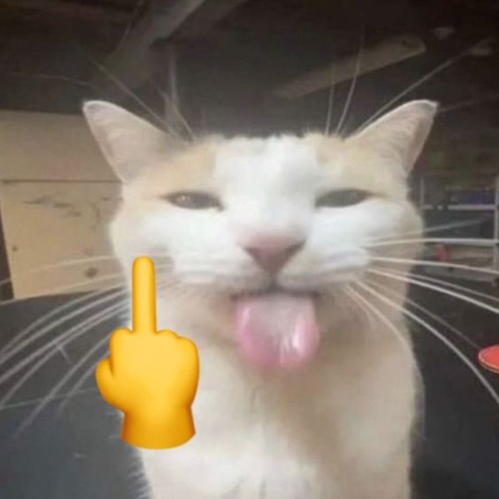 Bela