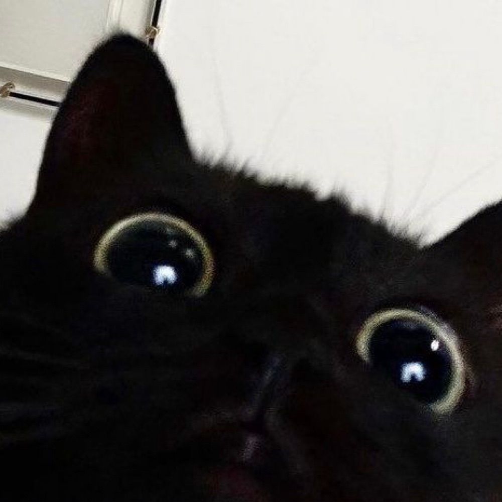 *・°☆