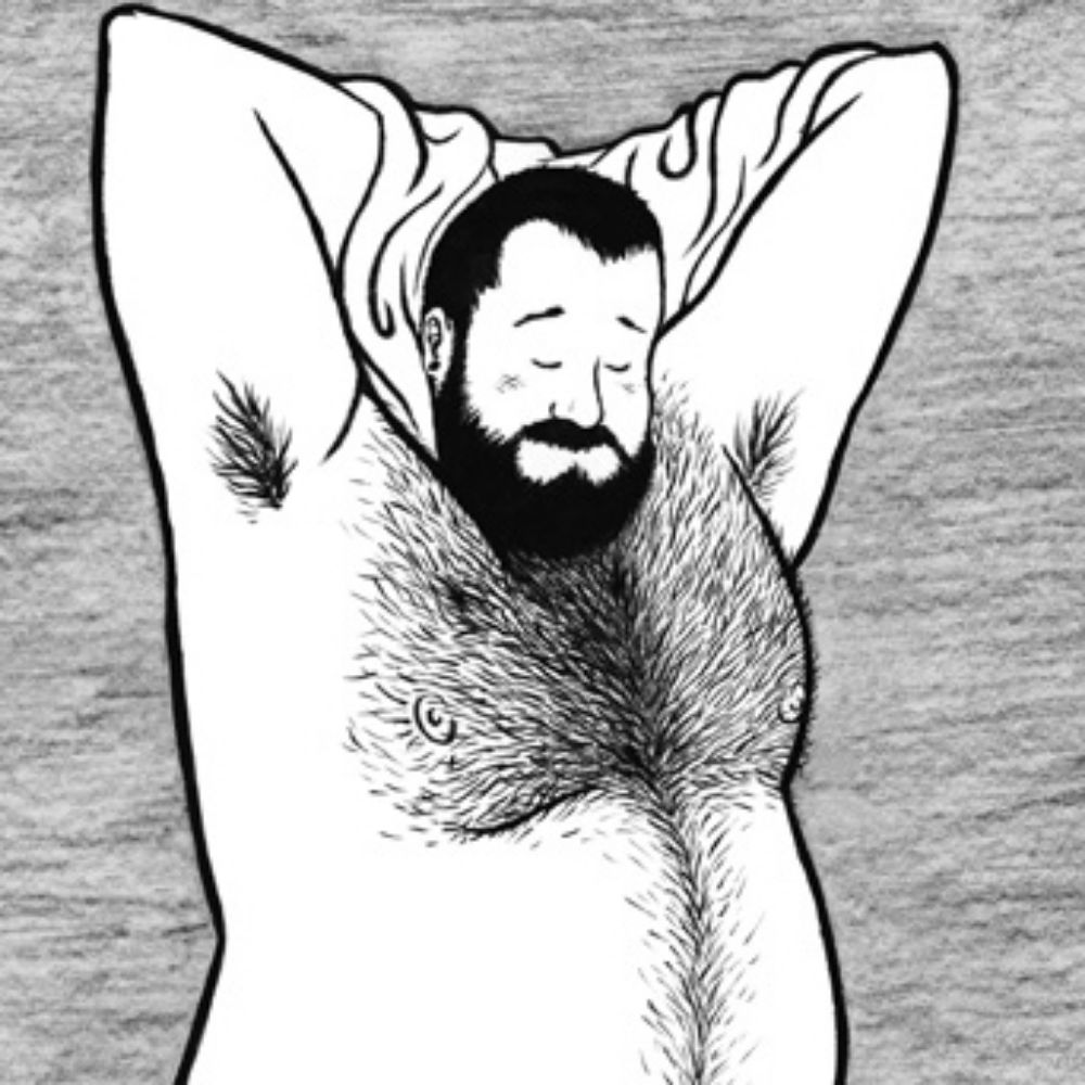 Bears, illustrated