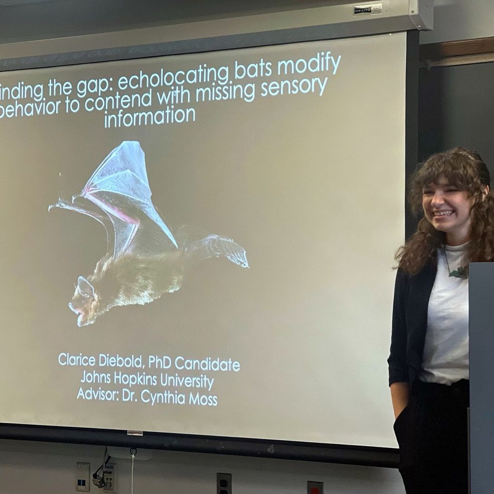 Clarice Diebold, PhD