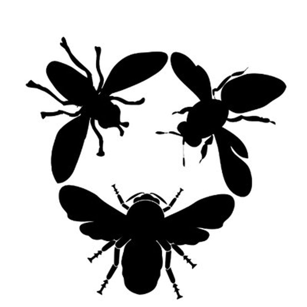 UK Pollinator Monitoring Scheme