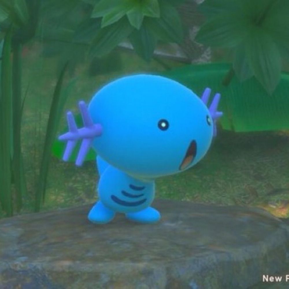 Swinky