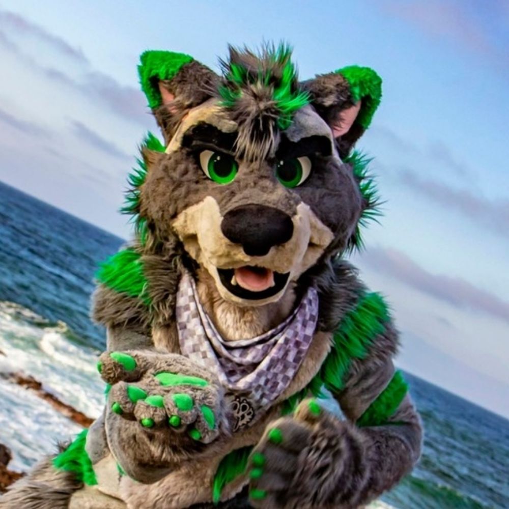 Bandit Raccoon 💚's avatar