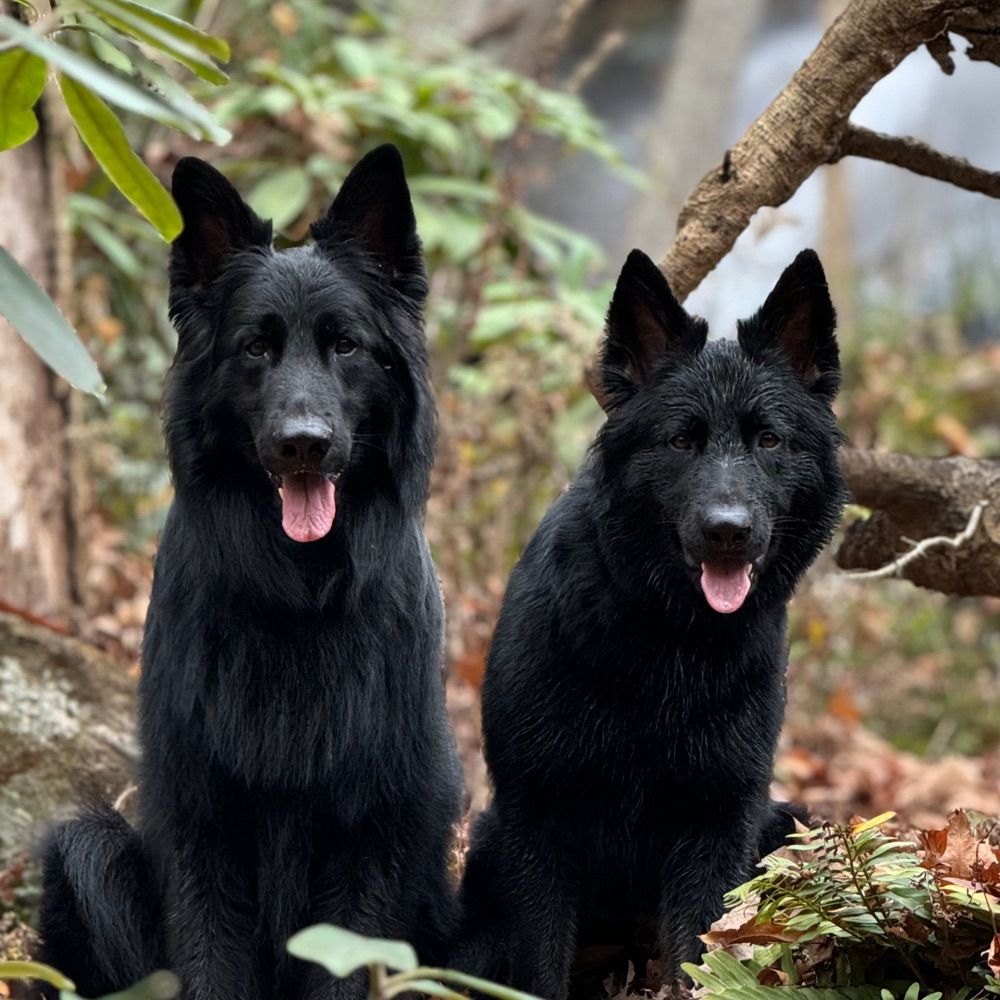 Fletcher & Fiona