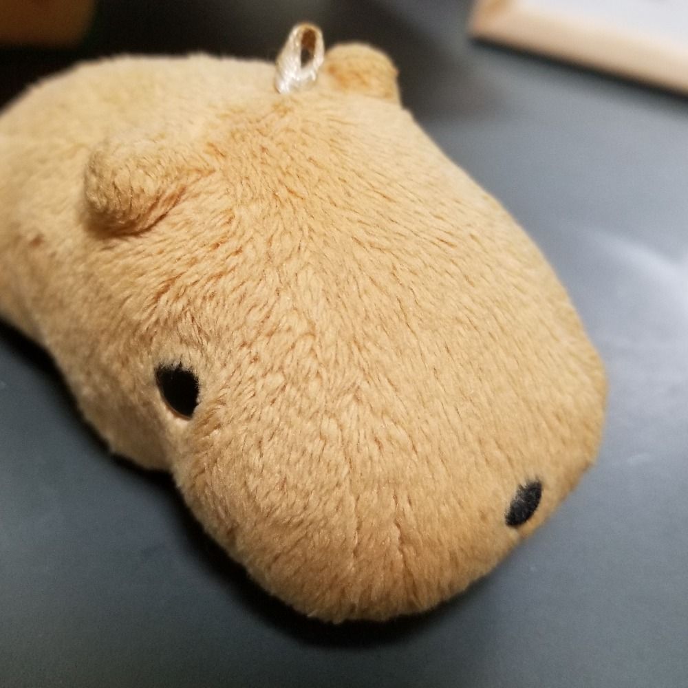 ぼん