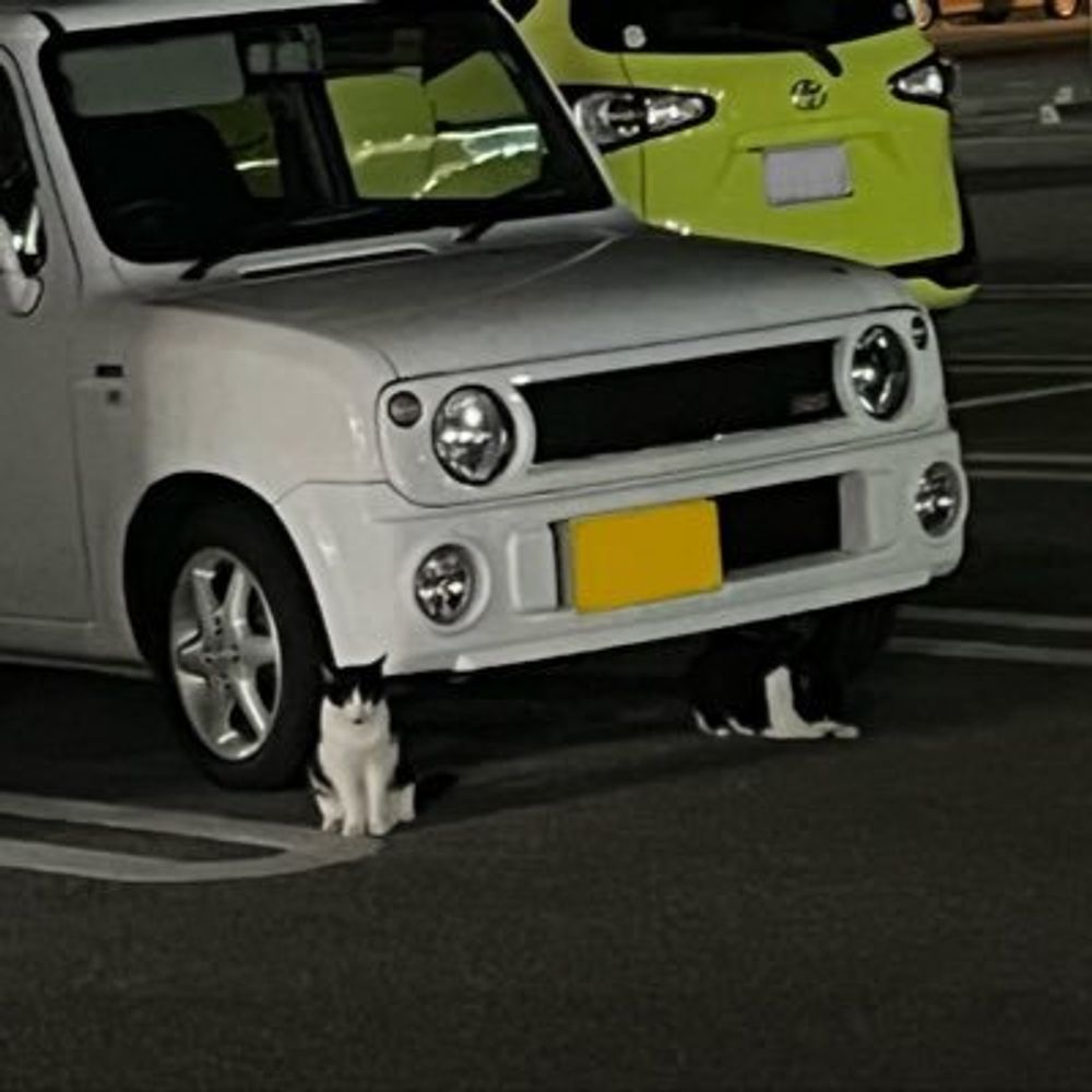 脱兎・ゆかり号
