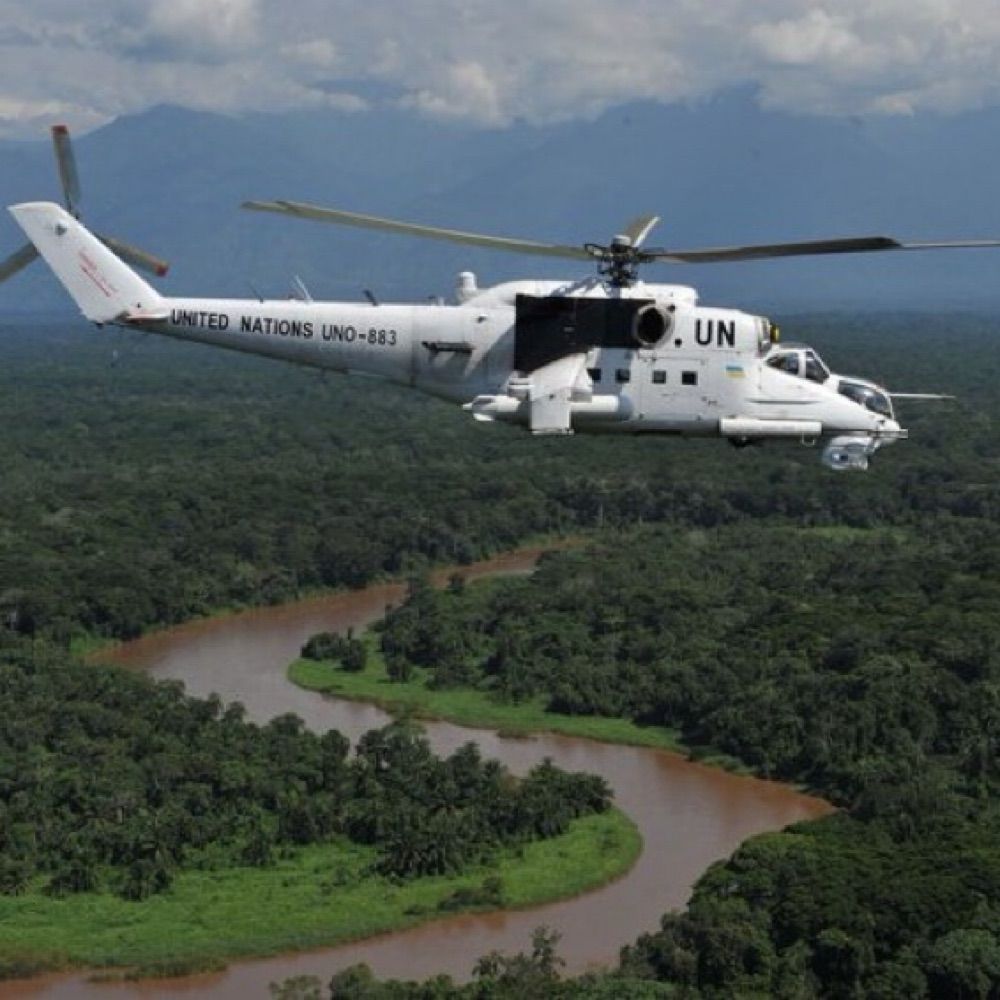 Effectiveness of Peace Operations Network (#EPON)
