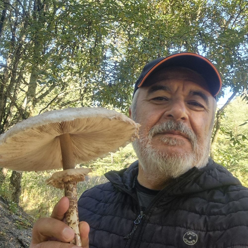 Ismet Guler