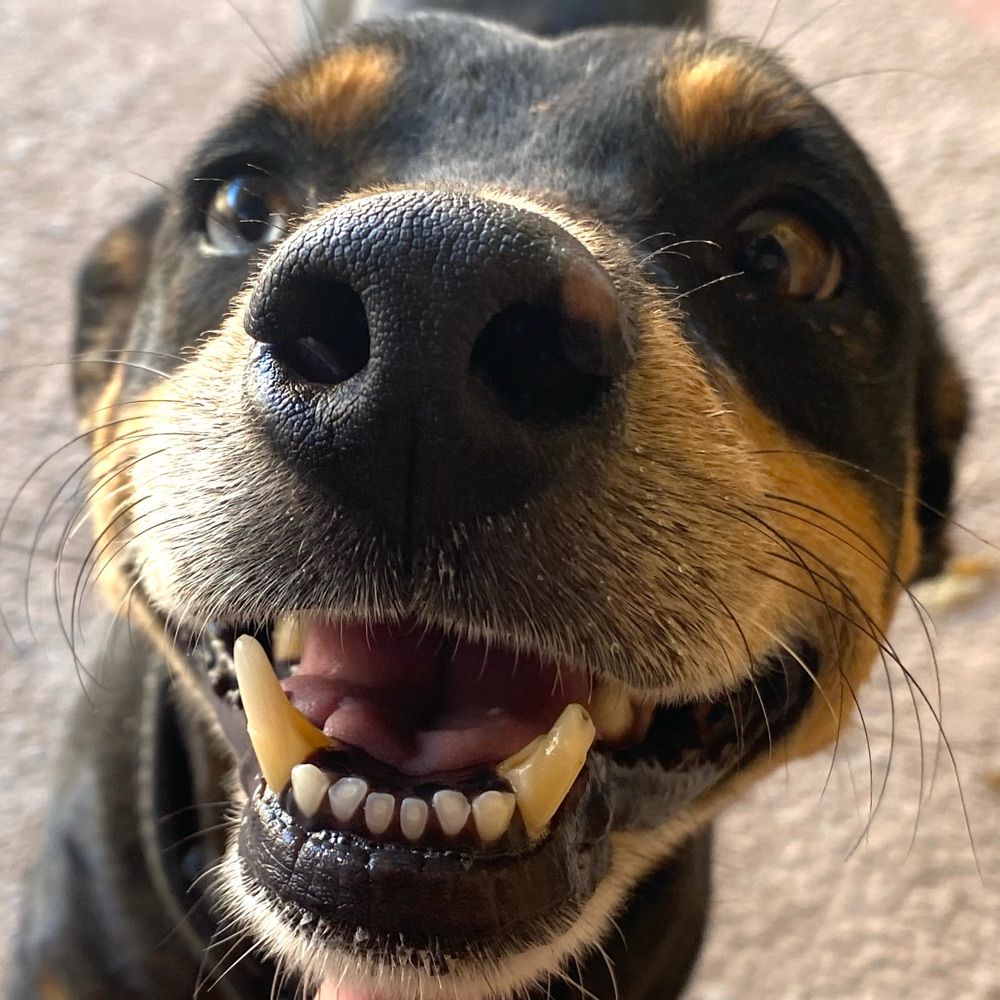 Eugene