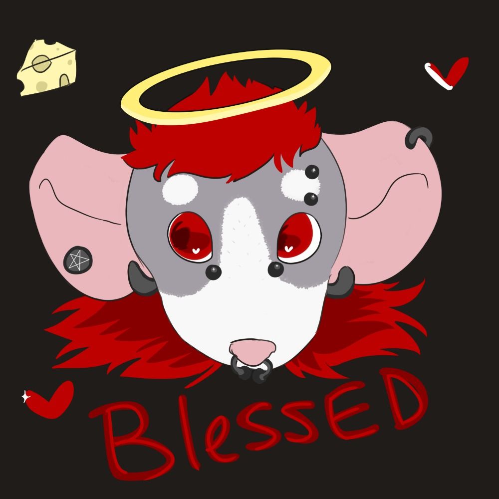 Rat Jesus