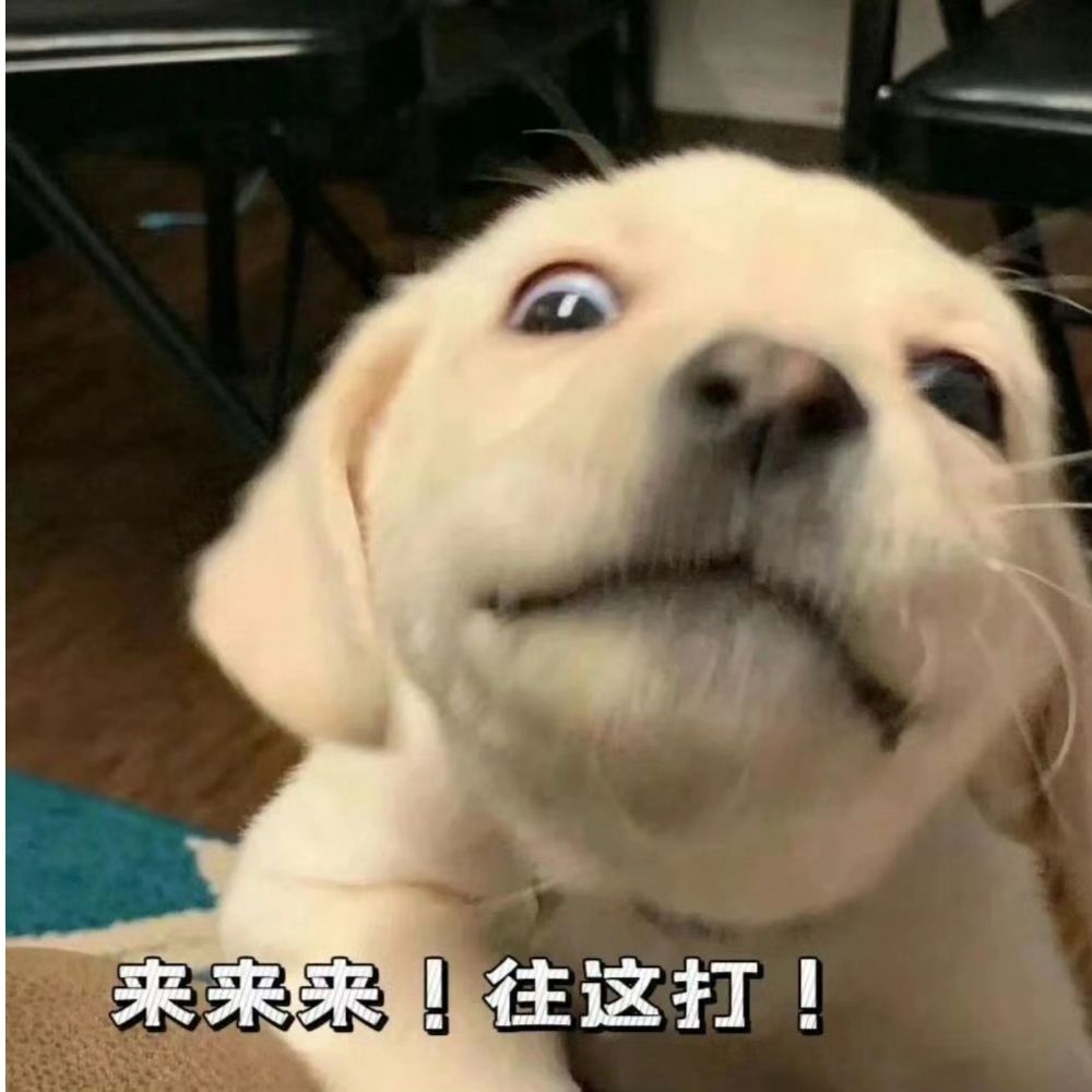 黄岛