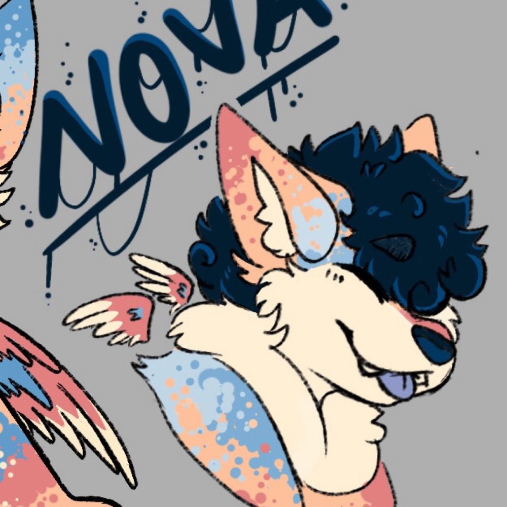 Nova_TheFlyingHusky