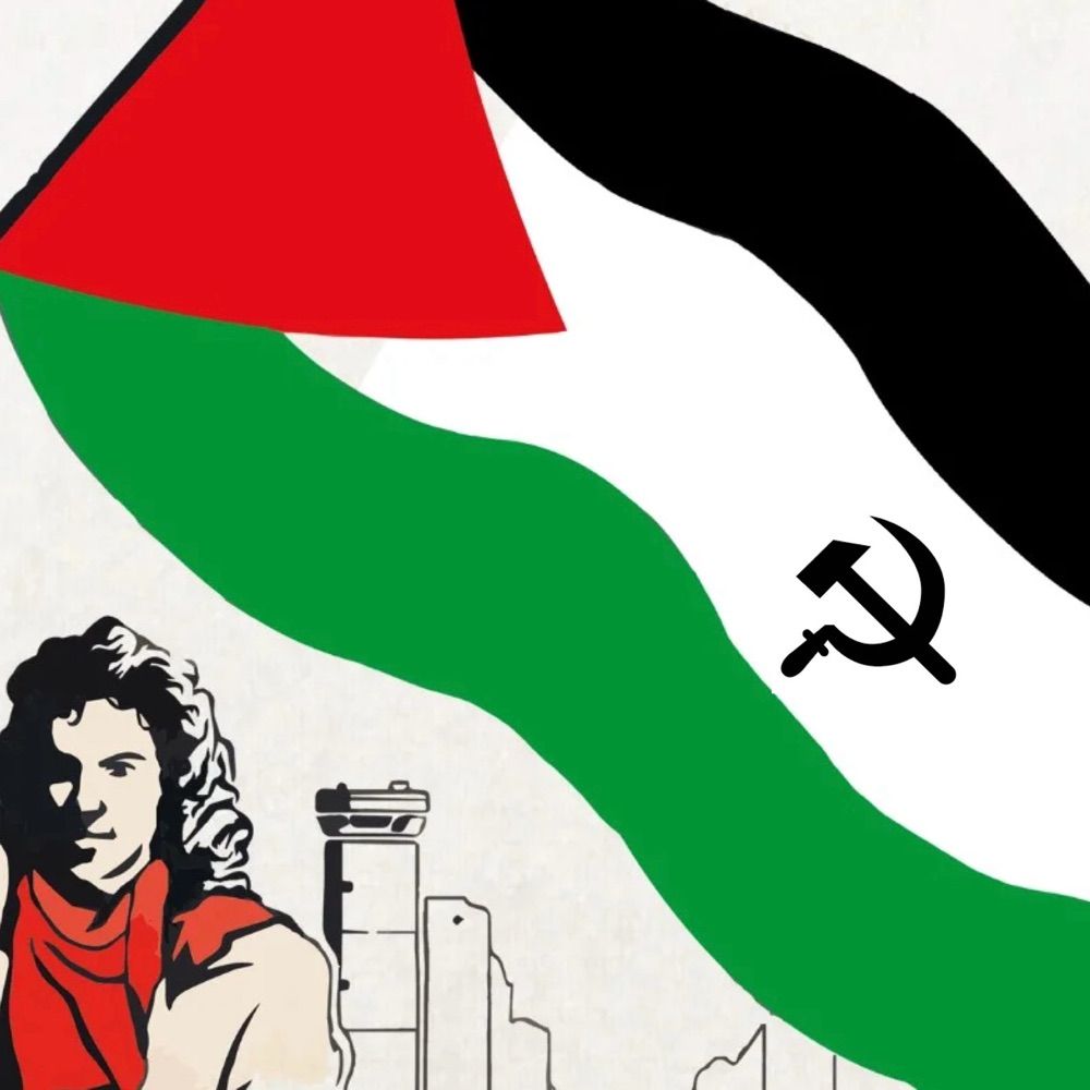 Sally Hates Capitalism but loves 🇵🇸