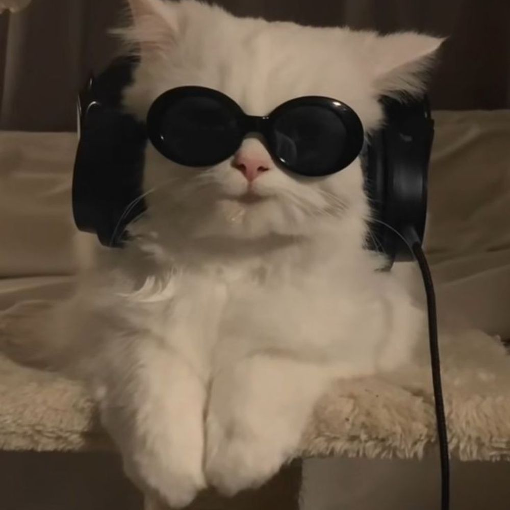 헤이즐