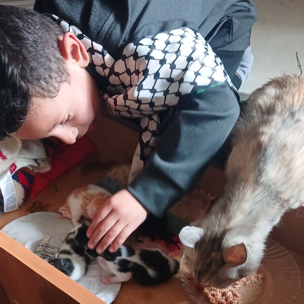 Save My Child Moody 😔 || 🇵🇸🍉