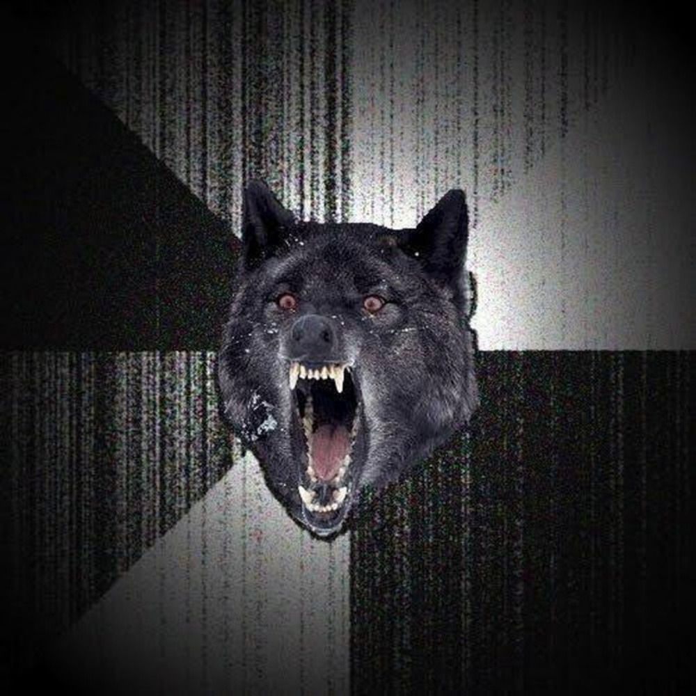 donowolf 
