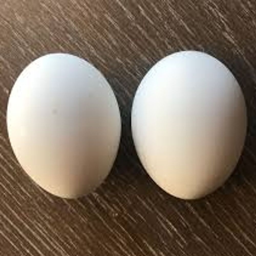 JohnBalls