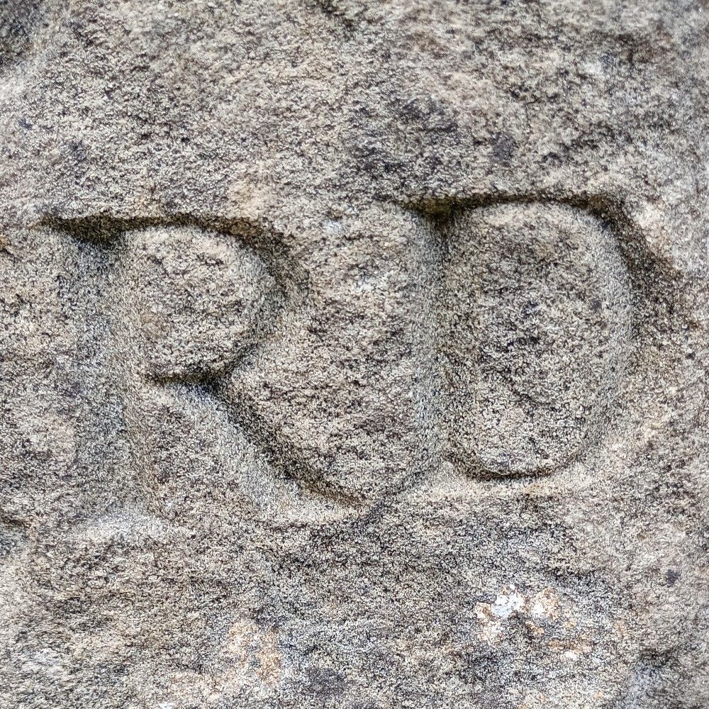 Rob Dale