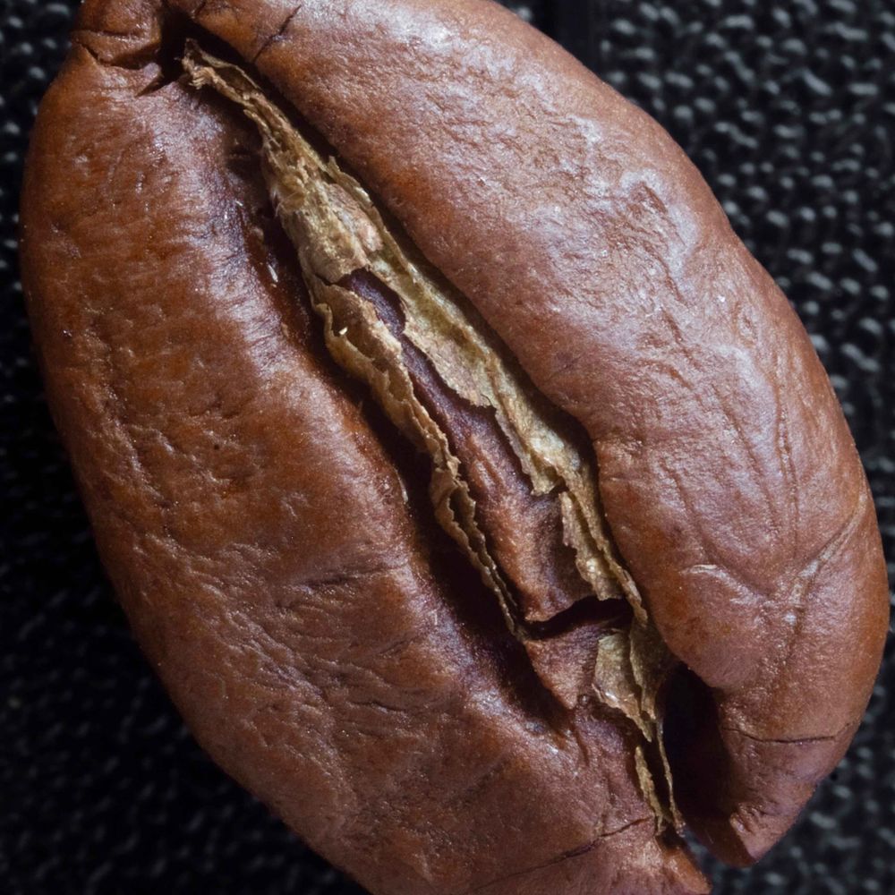 YVR Bean Wanker