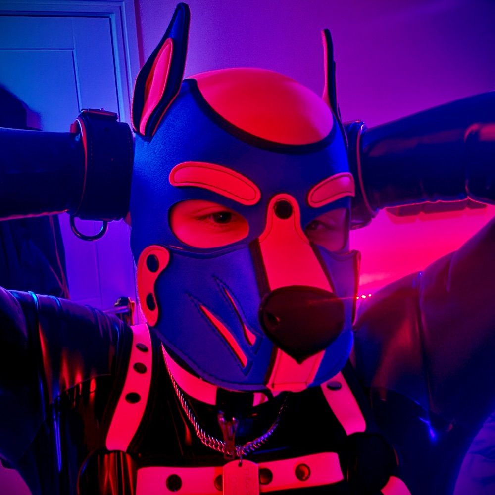Diego Husky