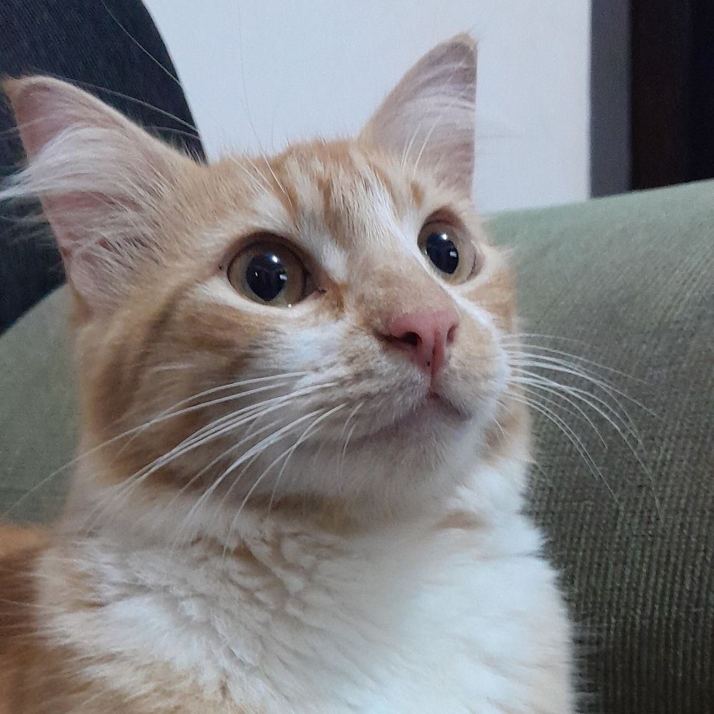 Lala