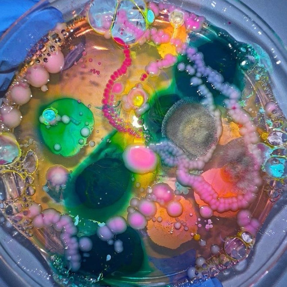 ༺✧ꫝᴛʜɪɴᴀ✧༻