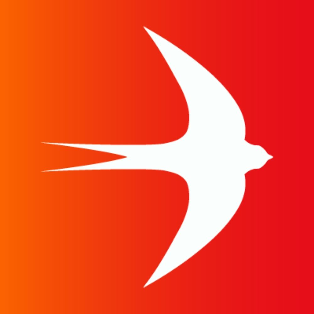 DiEM25 in Nederland