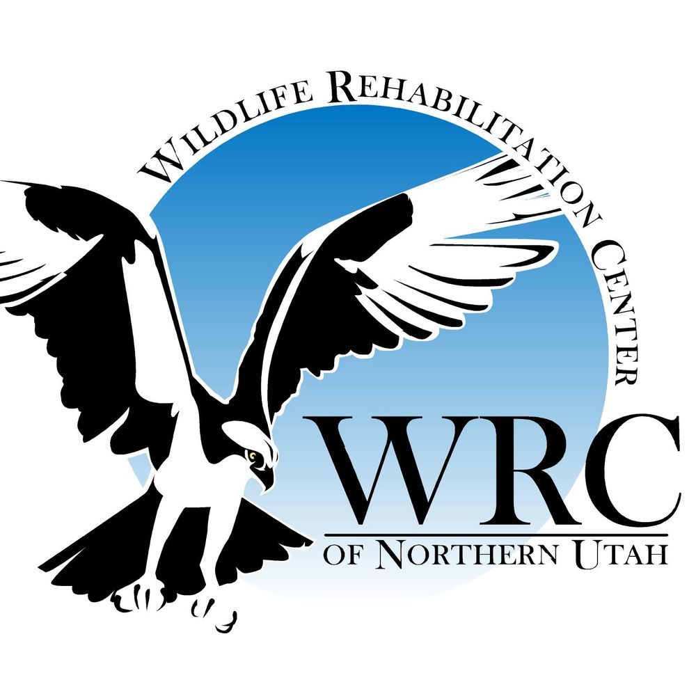 Wildlife Rehabilitation Center of Northern Utah