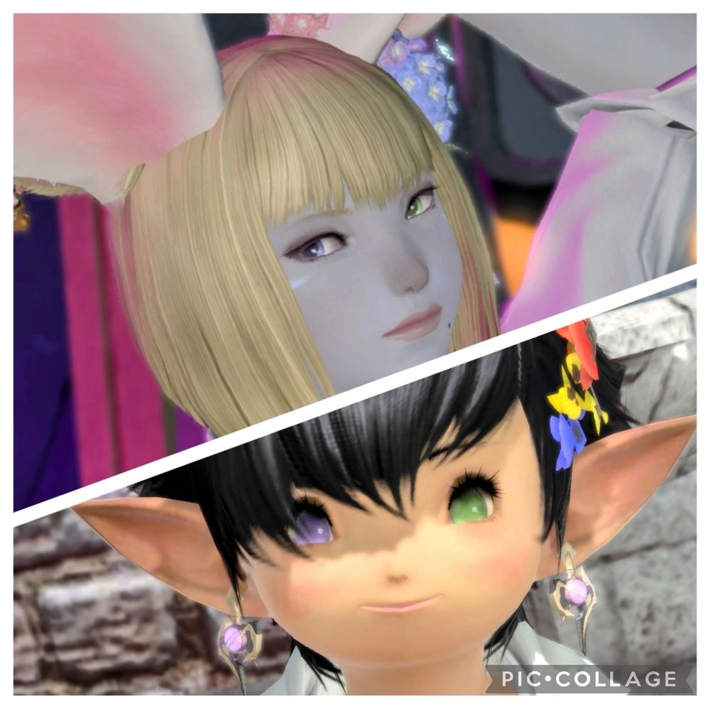 りたฅ•ω•ฅ ❂Ultema