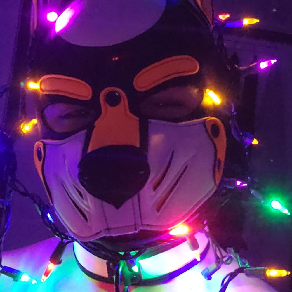 Pup Swift