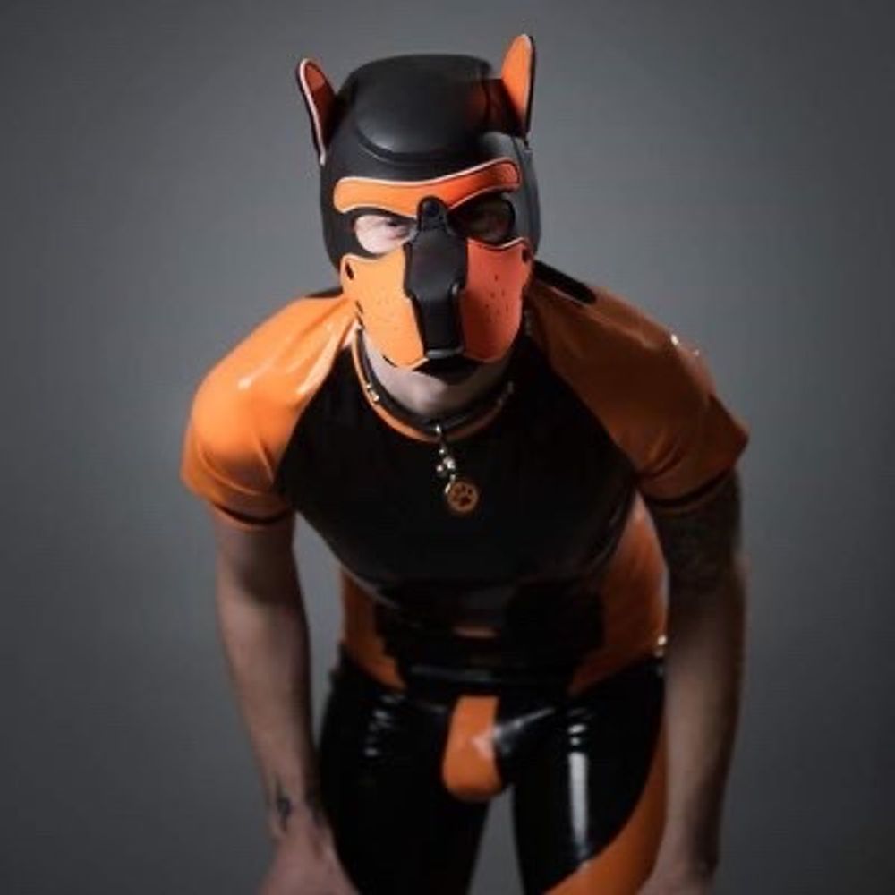 KyuubiFoxPup