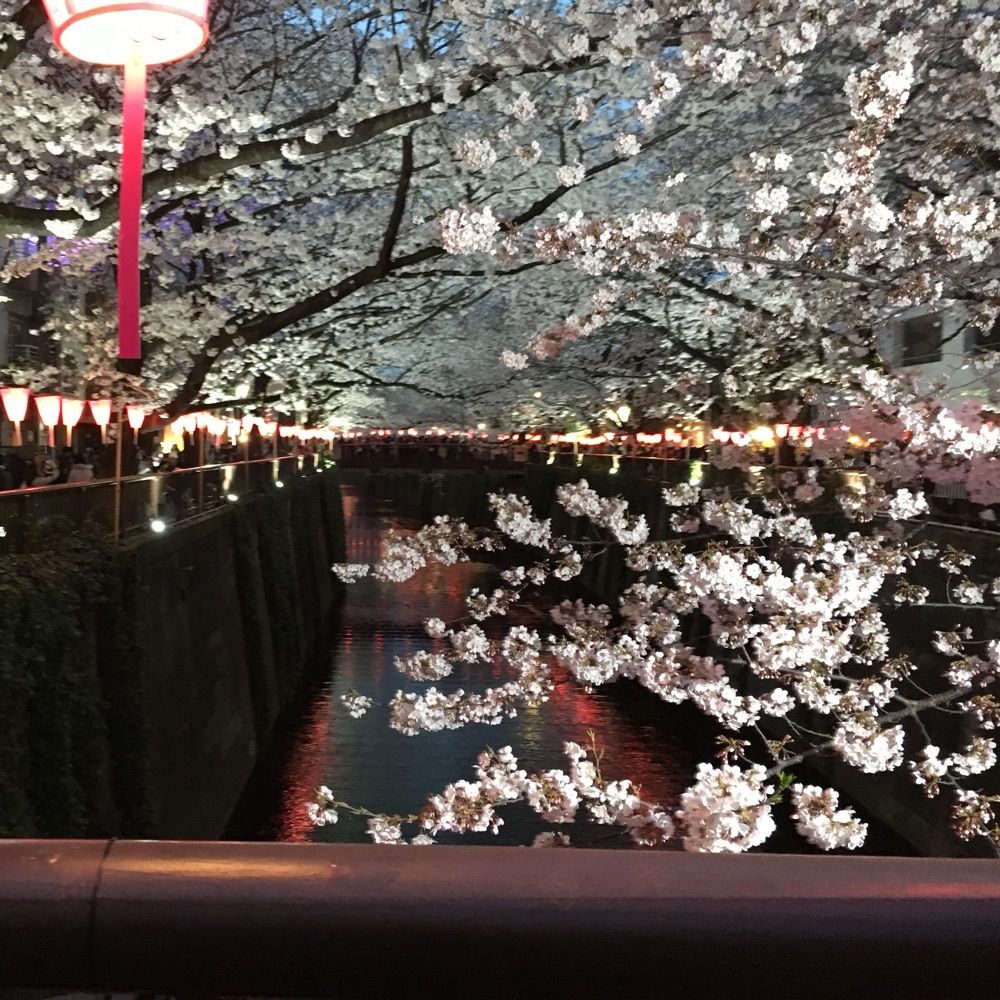 らばーずおんりー