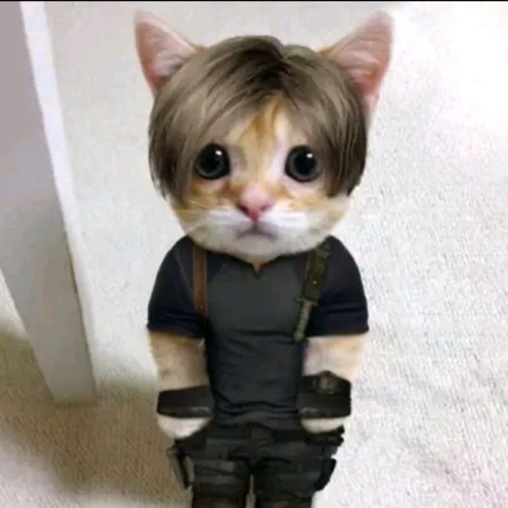 limasxyz