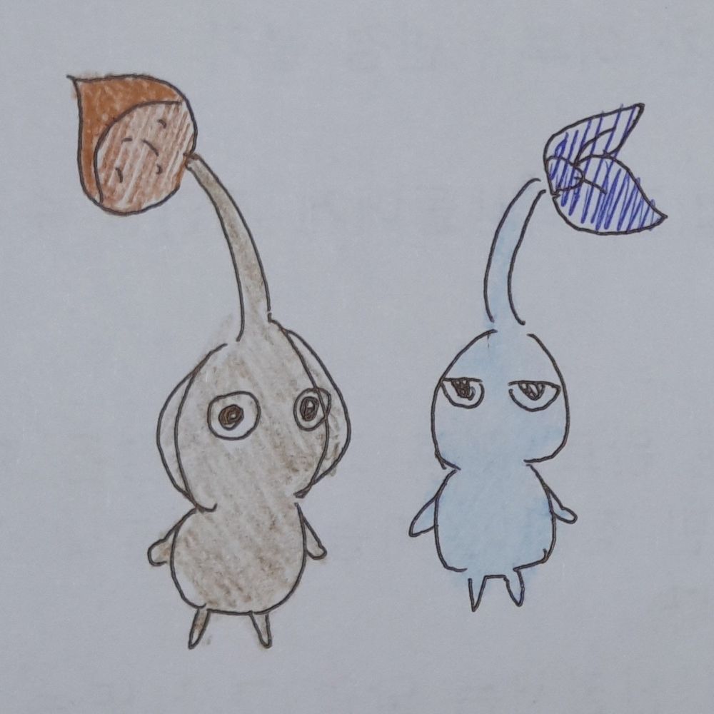 자몽줼리