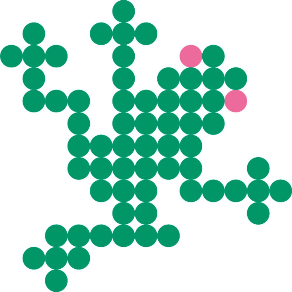 The Renku Platform