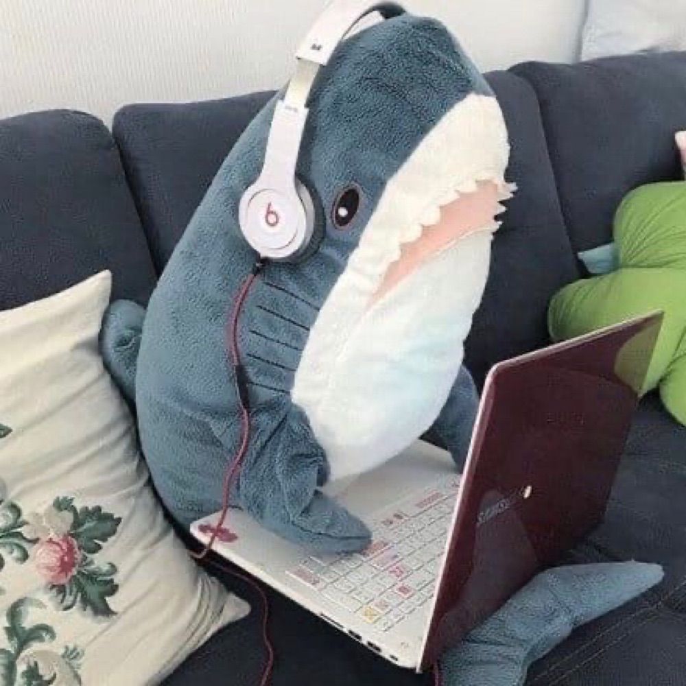 El 🦈