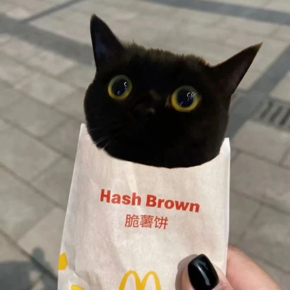 April Cat