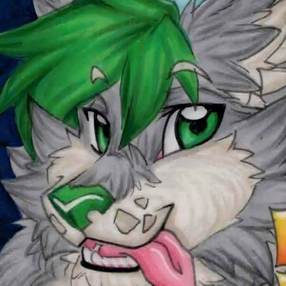 fenn | woof woof