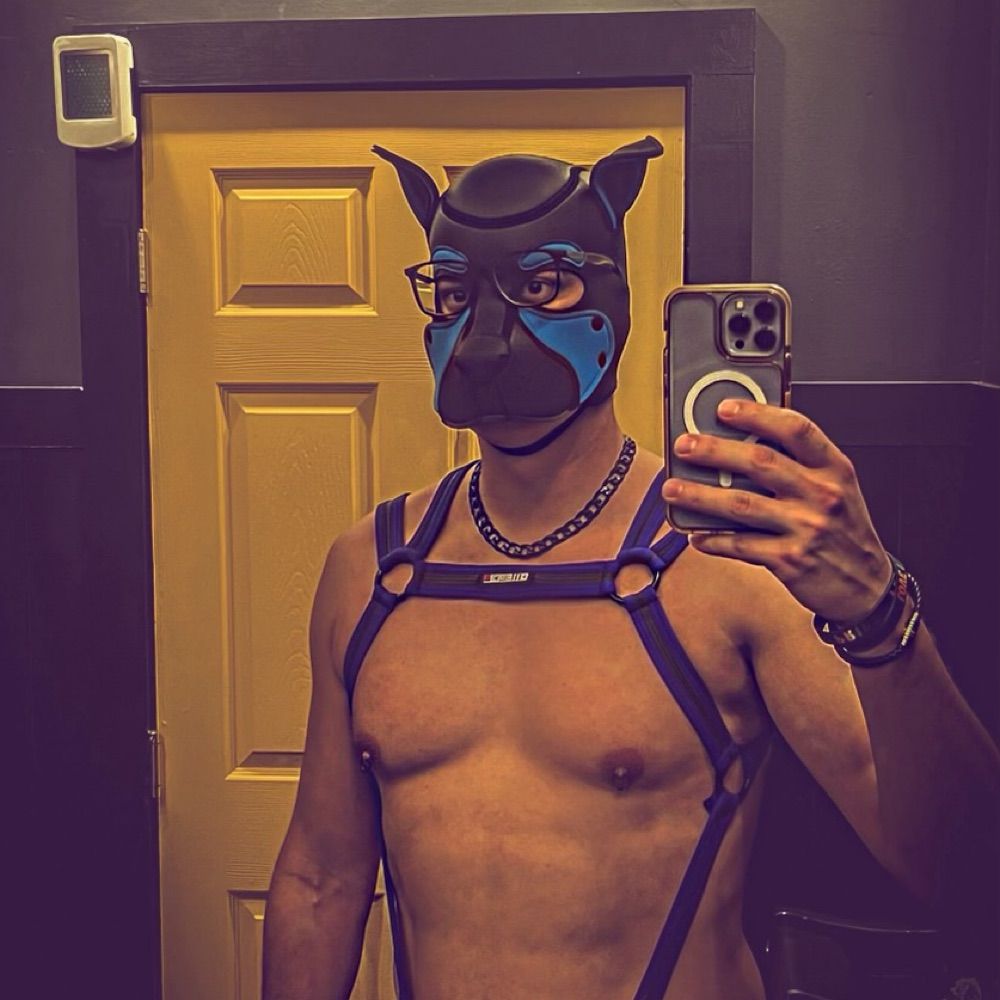 Profile picture eroscubanpup.bsky.social