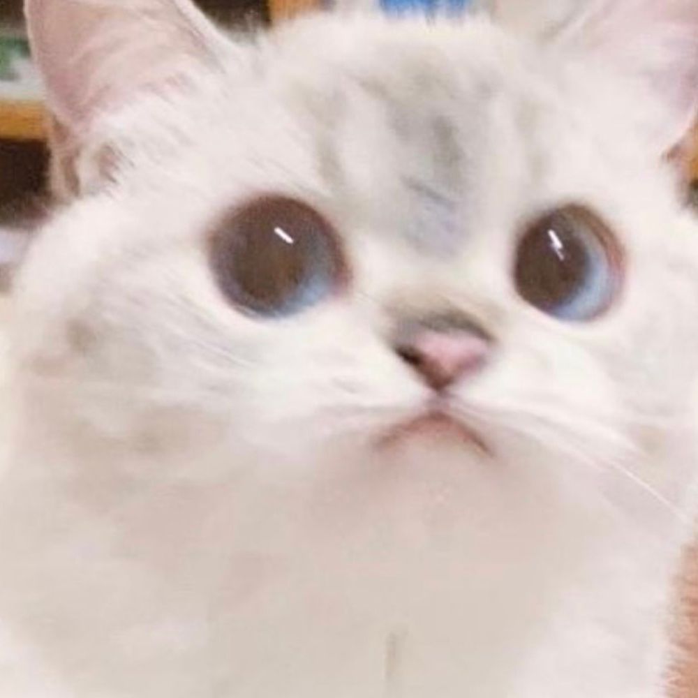 휑이