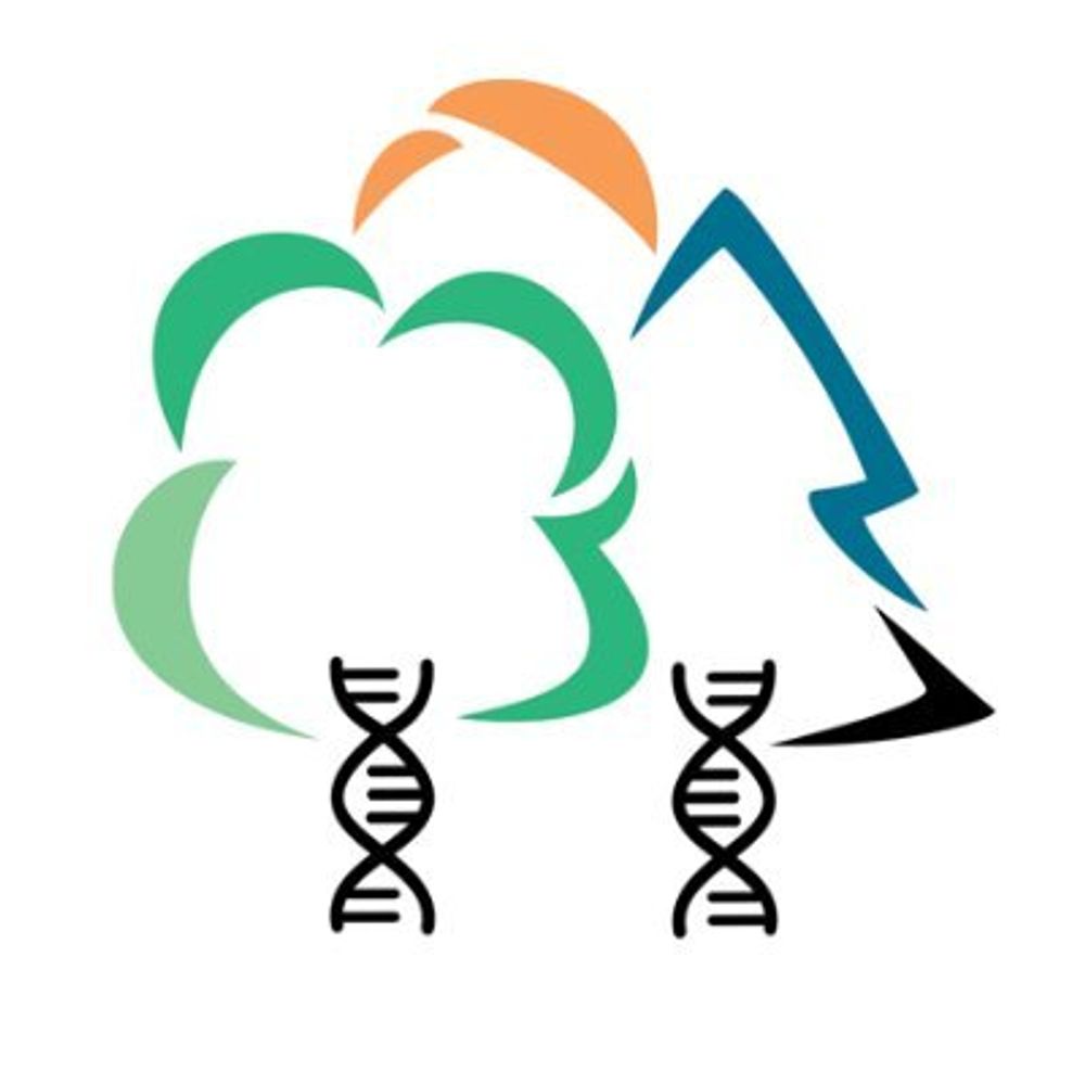 OptFORESTS