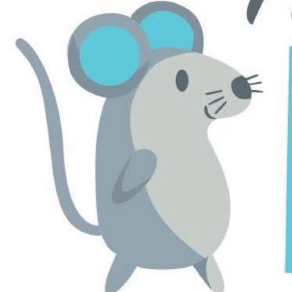 Ratty Box
