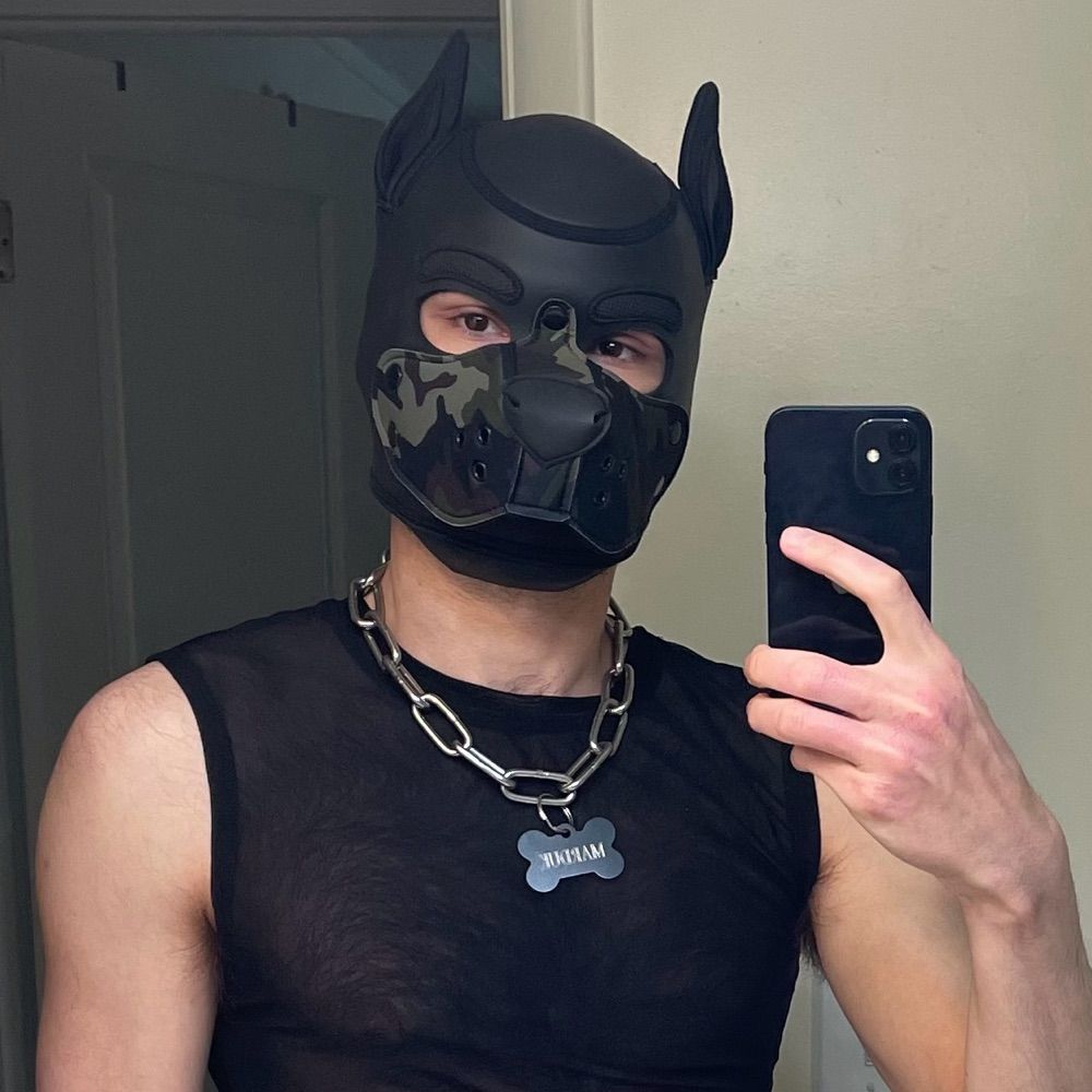 Pup Marduk
