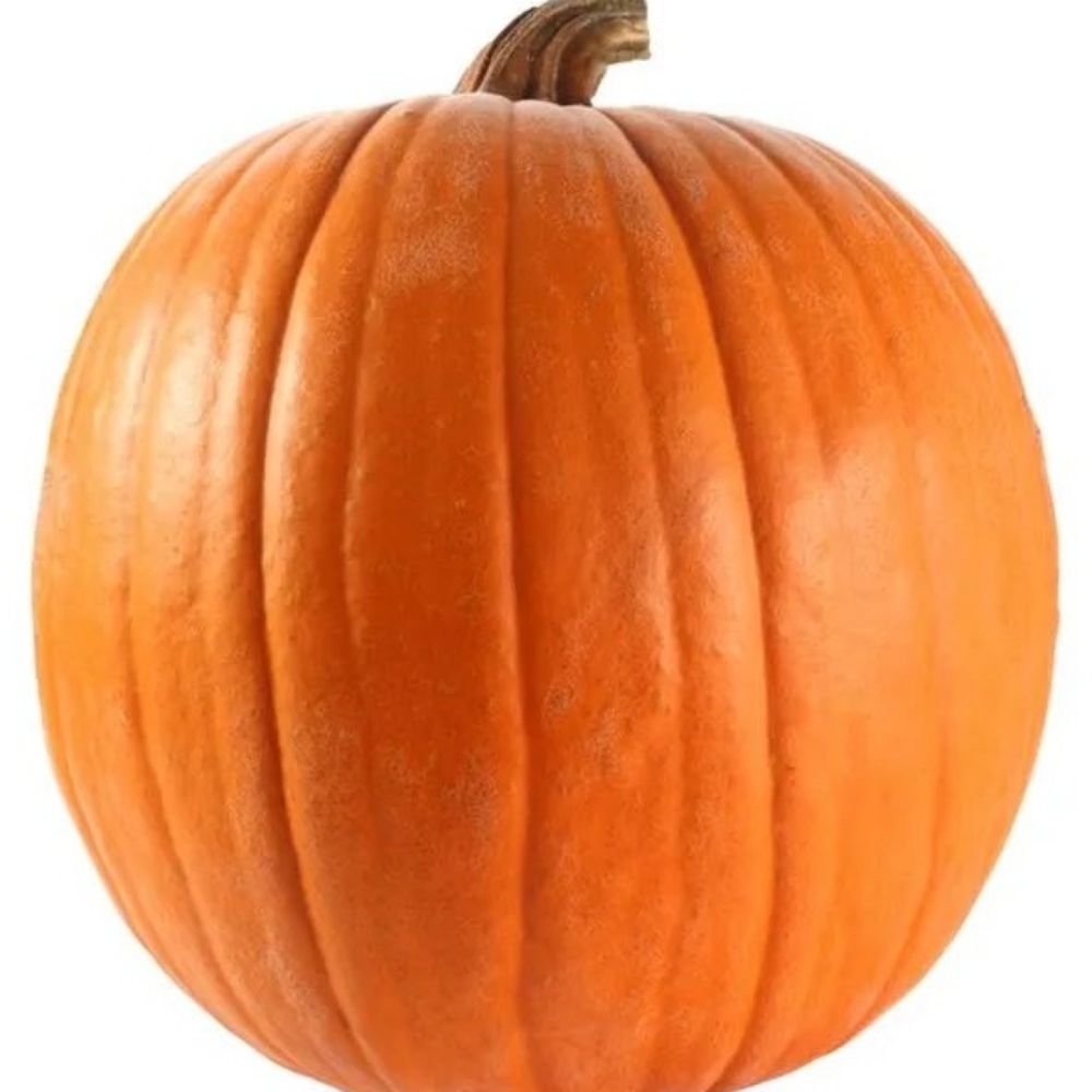 Pumpkin