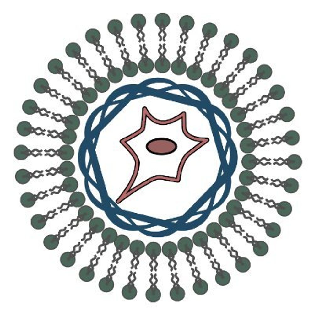 BioSoft@TAU