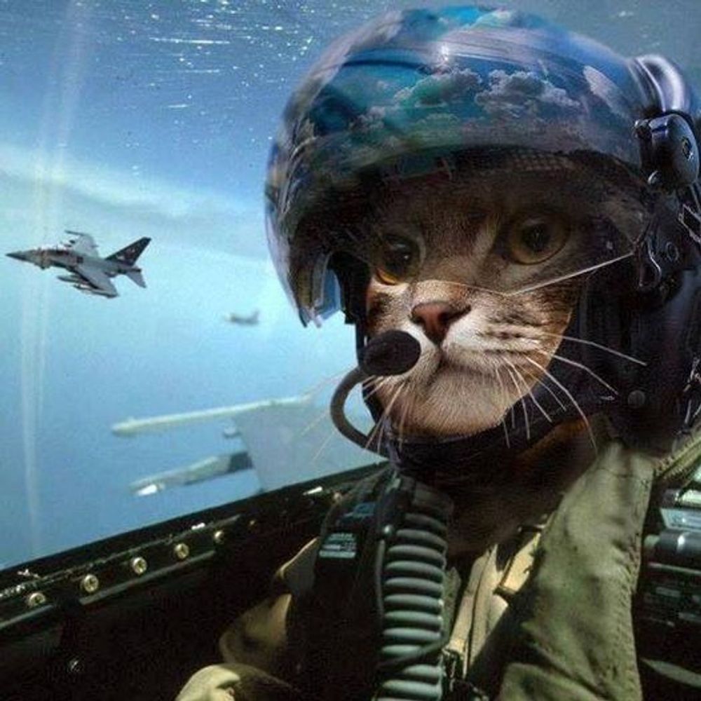 Easy Driver