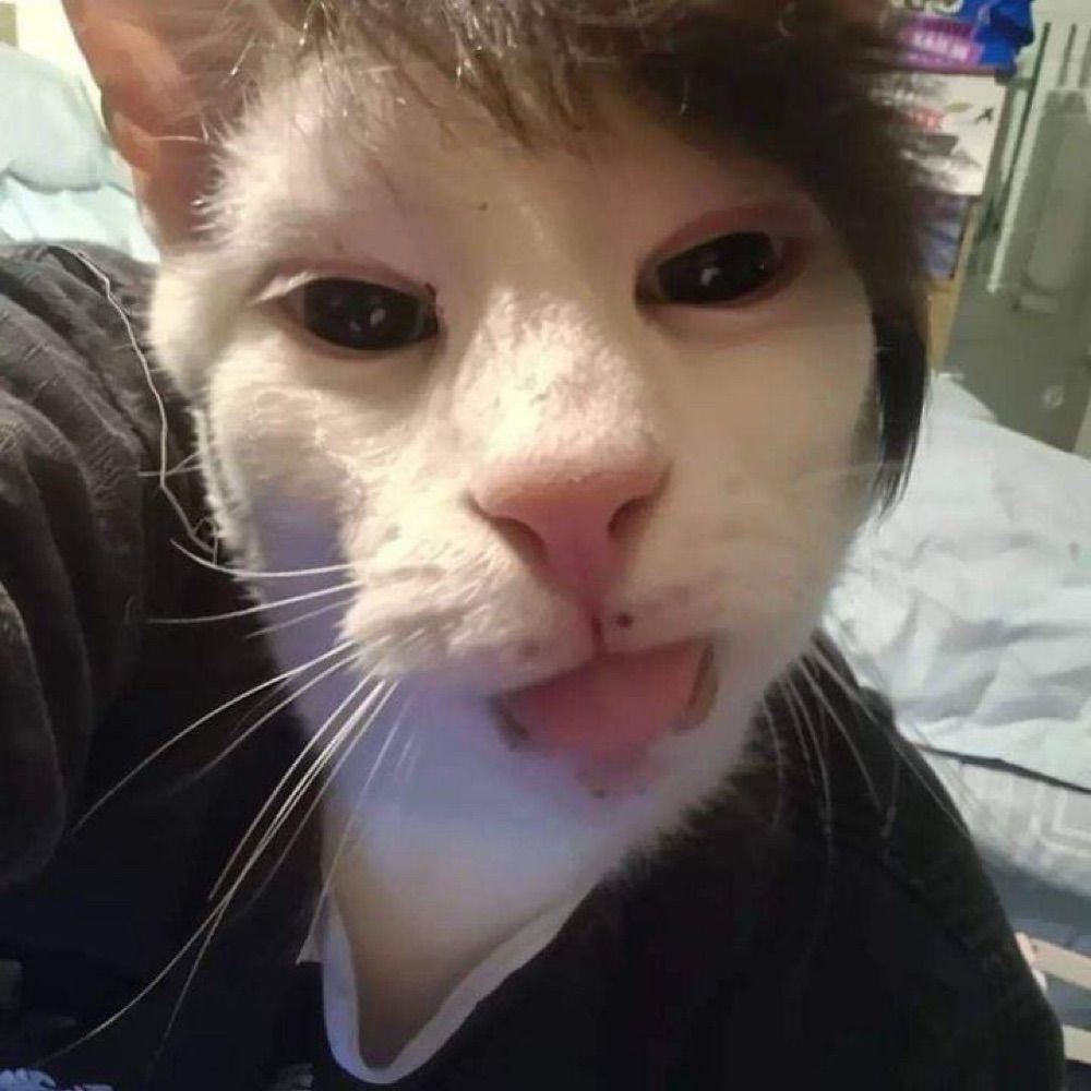 mr. I am what I am