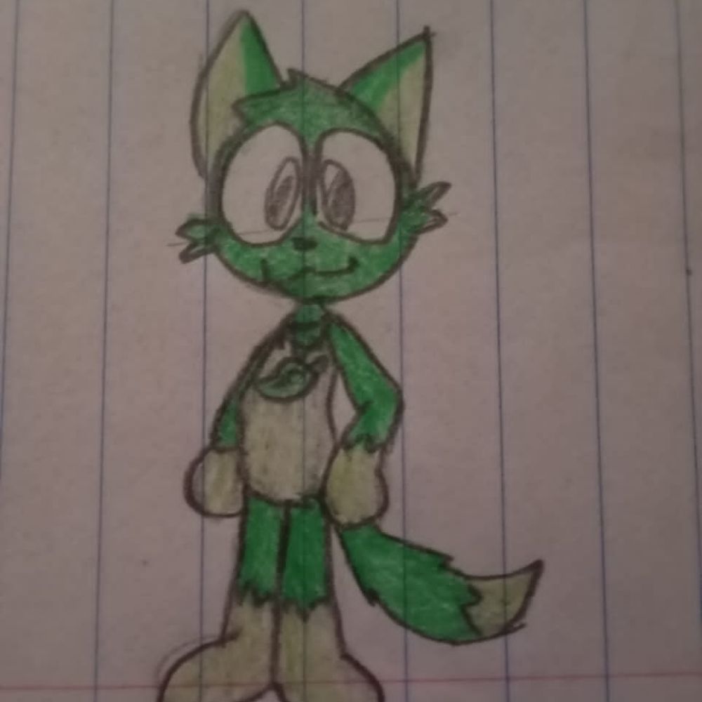 🌿CATNIP THE CAT🌿