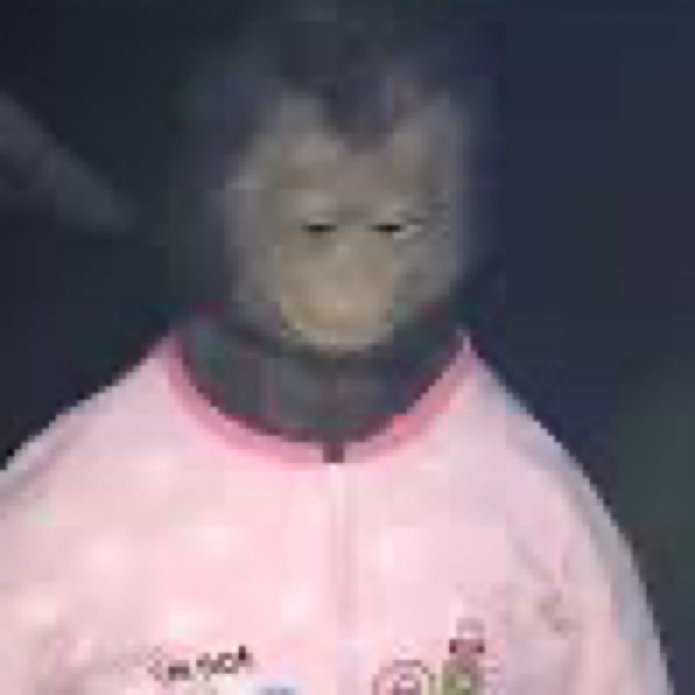 jimjam